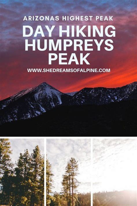 10 Miles Day Hiking Humphreys Peak Trail In Arizona The Humphreys