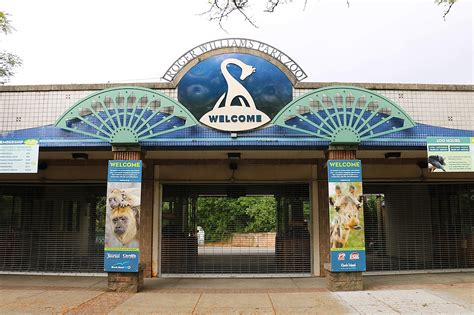 Celebrate 150 Years Of Providences Roger Williams Park Zoo