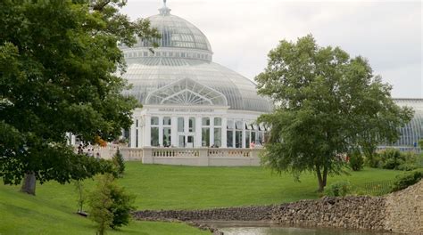 Visit Como Park Zoo And Conservatory In Minneapolis St Paul Expedia