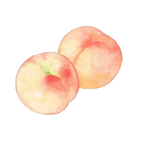 Pin On Peach Png Image And Peach Png Clipart