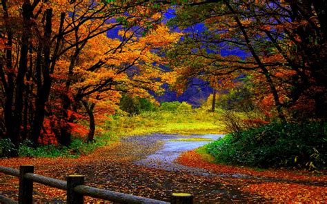 Wallpapers Of Autumn 1680×1050 High Definition Wallpaper Background