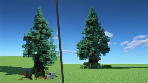 Complete Guide For Spruce Tree In Minecraft Esportslatest