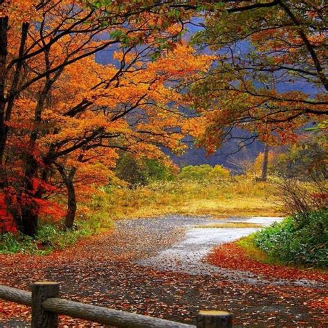 10 Best Autumn Scenery Desktop Wallpaper Full Hd 1920×1080 For Pc