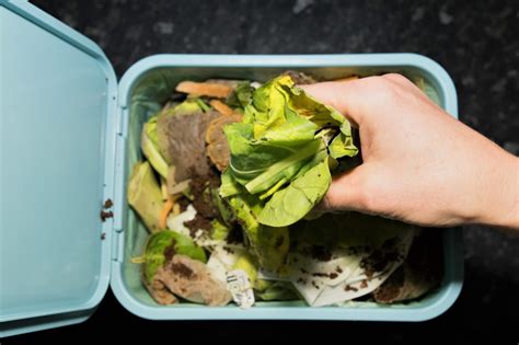 7 ways to reduce your household waste | Live Healthy