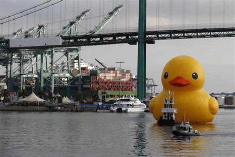Giant Rubber Duck Floats Into Port Of Los Angeles Photos