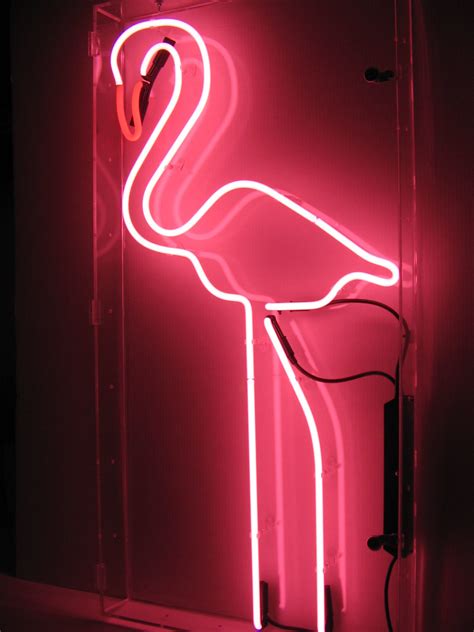 Pin By Deborah Carfora On Pink Flamingos Neon Signs Neon Lighting Neon