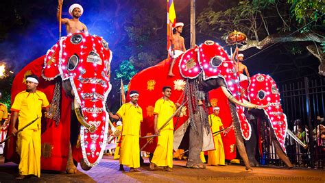 Festivals In Sri Lanka Cinnamon U