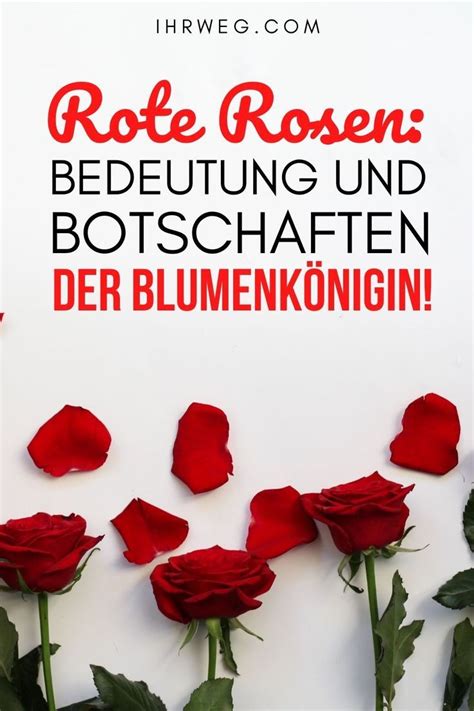 Rote Rosen Bedeutung Und Botschaften Der Blumenkönigin Info