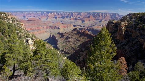 Visit Grand Canyon Best Of Grand Canyon Arizona Travel 2022 Expedia
