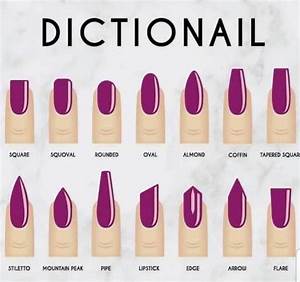 Reddit Coolguides Dictionail A Guide To Nail Shapes And Their