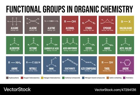 Functional Groups In Organic Chemistry Royalty Free Vector