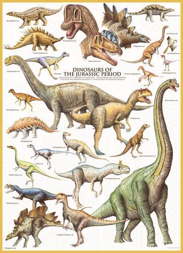This Is As The Picture Says Dinosaurs Of The Jurassic Period