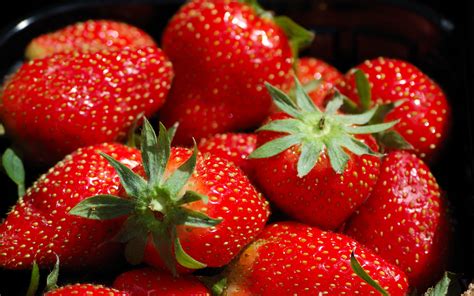 Pin By Silverknowledge On Fruit Strawberry Beautiful Fruit