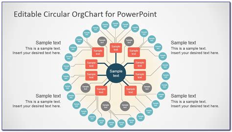 Multi Level Circular Organizational Chart Template Template Resume