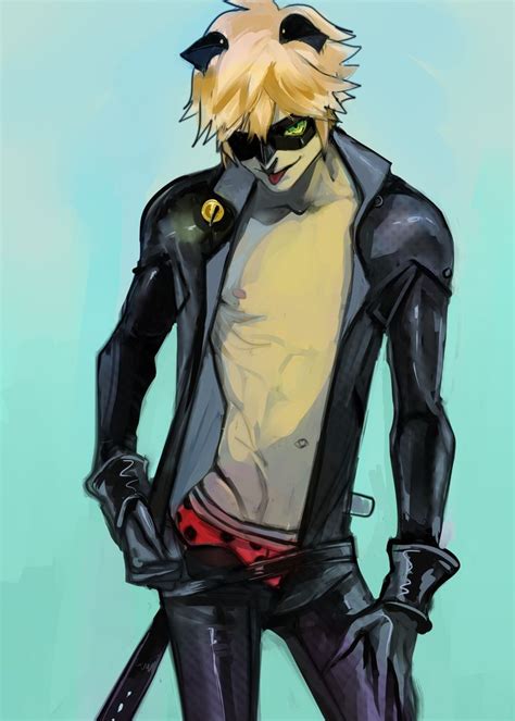 30 Best Images About Chatnoir On Pinterest Cats Lady