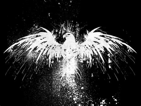 White Eagle Painting Eagle Monochrome Paint Splatter Artwork Hd