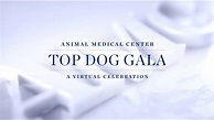 AMC's Top Dog Gala 2020 - YouTube