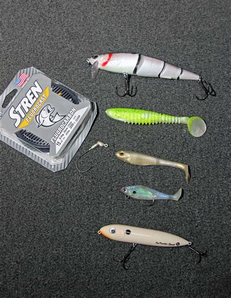 Swimbaits For Bass How To Choose Them Great Days Outdoors