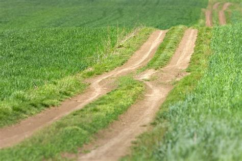Dirt Country Road Through Cultivated Field Stock Photo Image Of