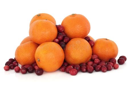 Tangerine And Cranberry Fruit Stock Photo Image Of Mandarin