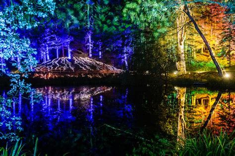 The Enchanted Forest Returns To Pitlochry Heres How To Book Tickets
