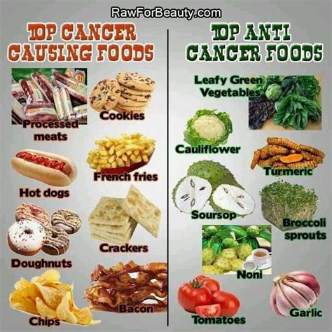 Best Cancer Prevention Diet Modus Operandi