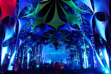 Ee Dee Emm Electric Forest Festival Electric Forest Forest Light