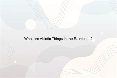 What Are Abiotic Things In The Rainforest Speeli