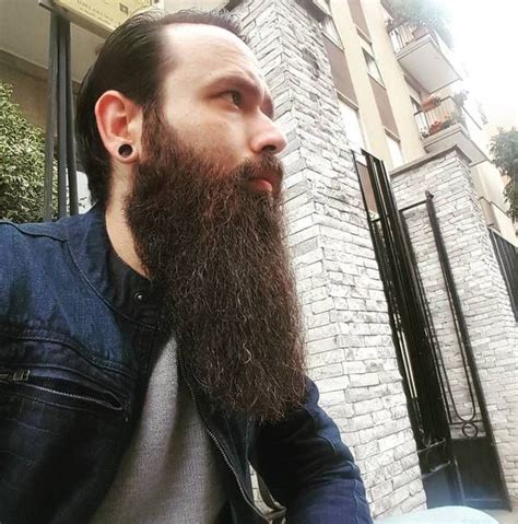 Grey Beards Long Beards Epic Beard Full Beard Well Groomed Beard Hair And Beard Styles