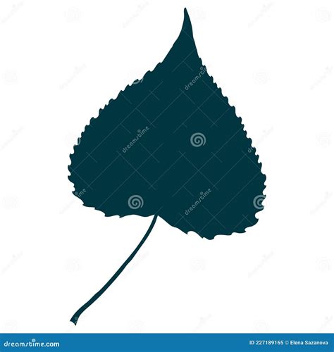 Aspen Leaf Silhouette Isolated On White Background Stock Vector