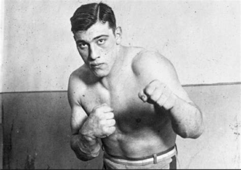 Signor Primo Carnera Boxing History Art Of Fighting Max Baer