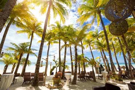 Tropical Resort With Palm Trees Stock Image Image Of Luxury Seascape