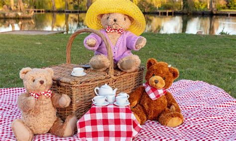 Personalised Teddy T How To Plan The Best Teddy Bear’s Picnic