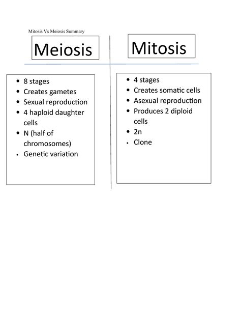 Meiosis Vs Mitosis Worksheet