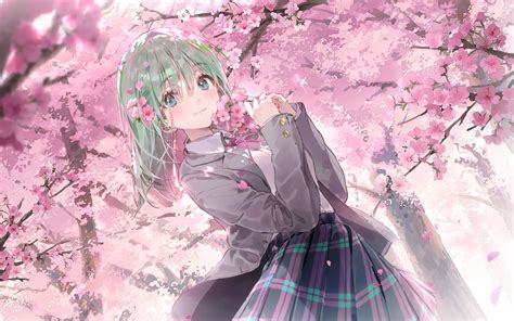 Download Wallpaper 2560x1600 Girl Schoolgirl Sakura Flowers Anime Art Widescreen 1610 Hd