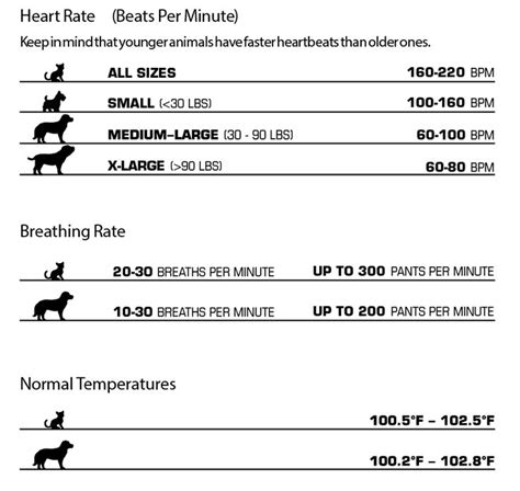 Heart rate is the speed of the heartbeat measured by the number of contractions (beats) of the heart per minute (bpm). 725 best Veterinary technician images on Pinterest ...