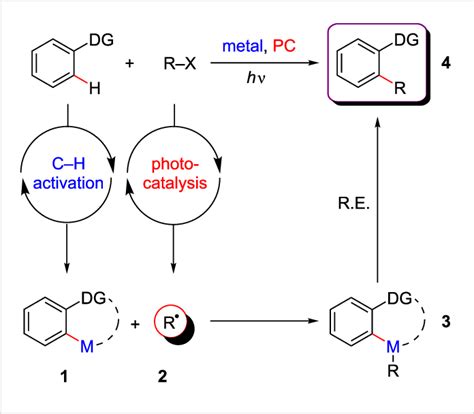 General Concept Of Dual Catalysis Merging C H Activation And Photoredox
