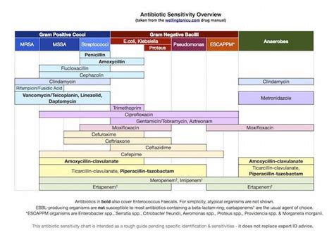 Antibiotic Coverage Cheat Sheet Bing Antibiotics Chart Antibiotic