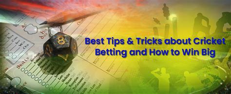 Best Tips And Tricks About Cricket Betting And How To Win Big Cbtf Tips