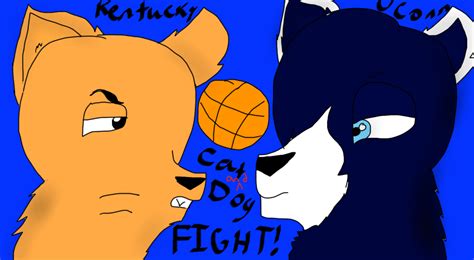 Cat And Dog Fight By Spaniel Of Cyd0nia On Deviantart