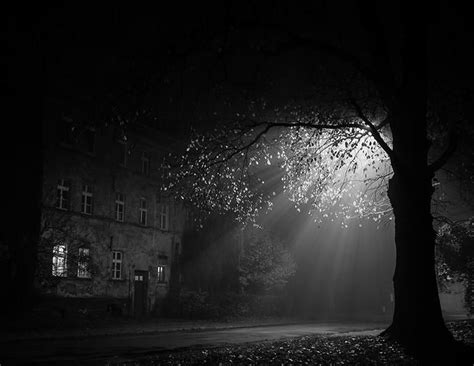 Light Of Foggy Night Photo By Photographer Michael Sulka Night