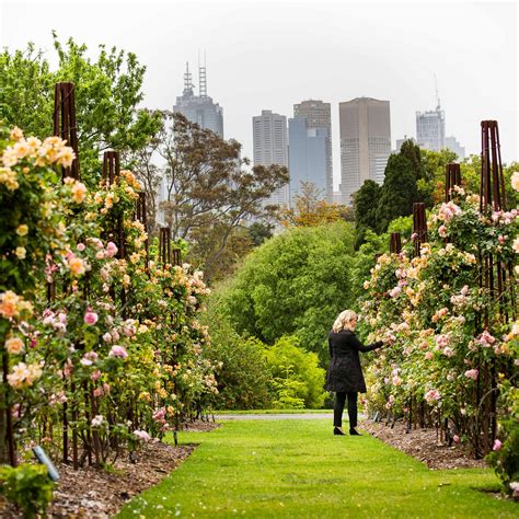 Royal Botanic Gardens Victoria Melbourne All You Need To Know