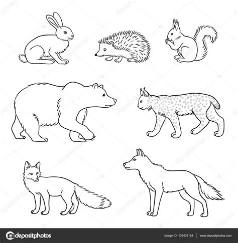 Set Of Vector Forest Animals In Contours Stock Vector Image By ©rosinka