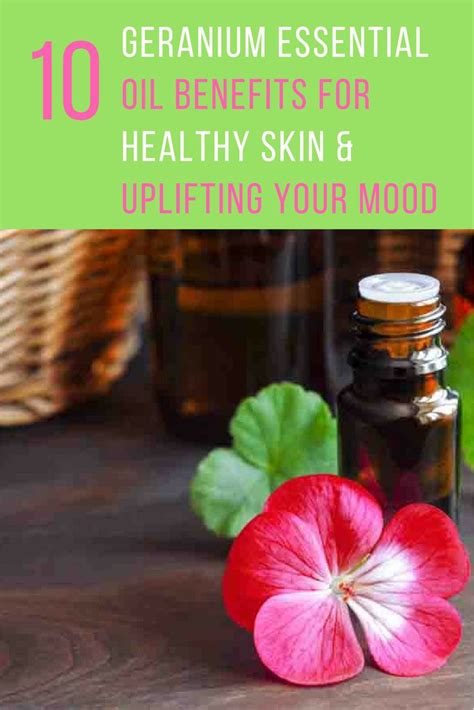 Geranium Essential Oil Benefits For Healthy Skin Uplifting Your