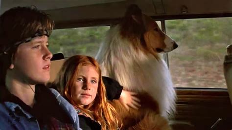 Lassie 1994 — The Movie Database Tmdb