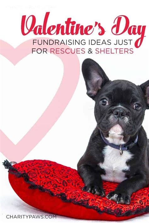 8 Valentine Fundraiser Ideas For Your Rescue Or Shelter Animal