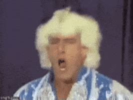 National football league ncaa nintendo ohio state buckeyes olaf olivia over the moon overwatch philadelphia eagles plants vs. Ric Flair GIF - Find & Share on GIPHY