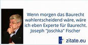 Joseph "Joschka" Fischer | zitate.eu