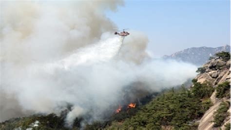 Forest Fires Break Out Across South Korea Kalingatv