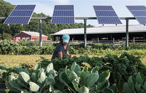 This Colorado Solar Garden Is Literally A Farm Under Solar Panels Artofit